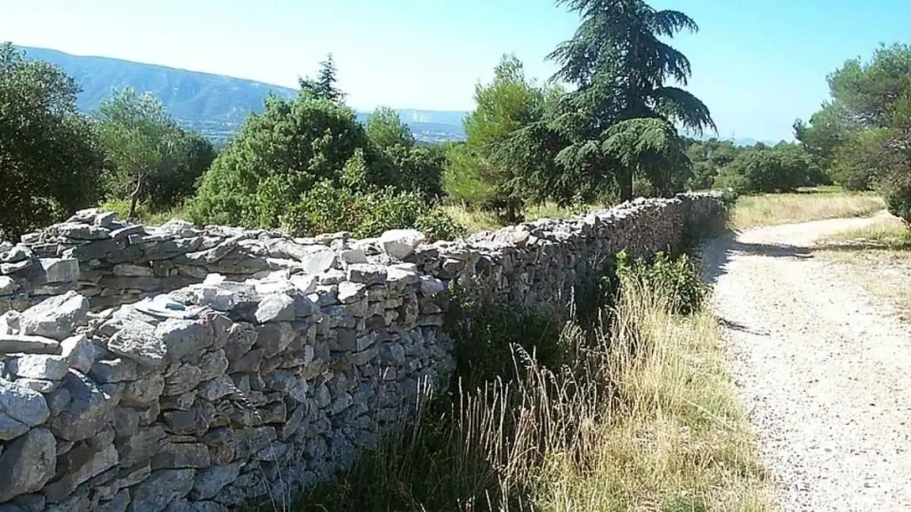 Ruínas do Mur de la Peste em pedra seca, nos Montes de Vaucluse, com vestígios de uma guarita.