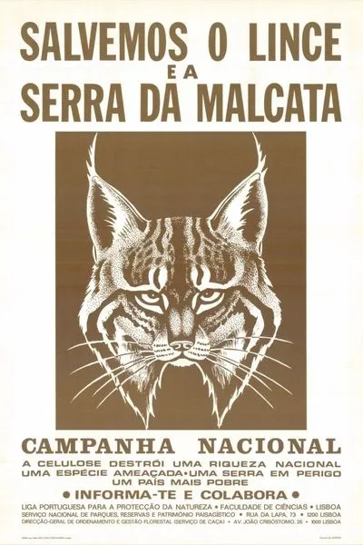 Cartaz da campanha salvemos o lince e a serra da malcata da Liga para a proteção da naturesa