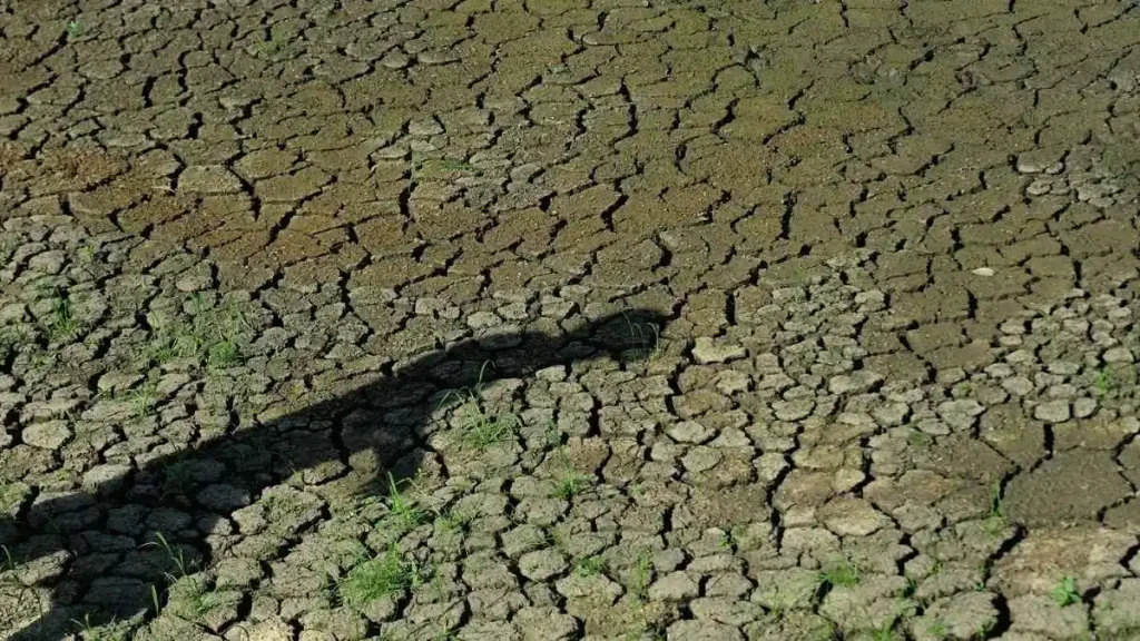 Moradora caminha sobre o leito rachado do açude da Pista, seco pela estiagem, em Quixadá, no sertão do Ceará. O El Niño pode ter efeitos devastadores naquela região.