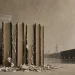 Livros com as lombadas cortadas e as páginas desfeitas, encostados a uma listagem de códigos ISBN, com linhas de alta tensão e um centro de dados ao fundo